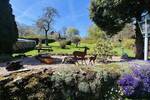 Mehrfamilienhaus, Wohnhaus Dahlem - 8 Zimmer, 218 m&sup2;, 369.000&euro; | Angebot:26512735