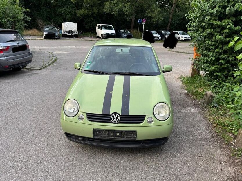 Lupo