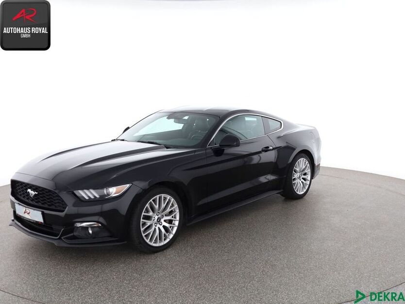 Mustang