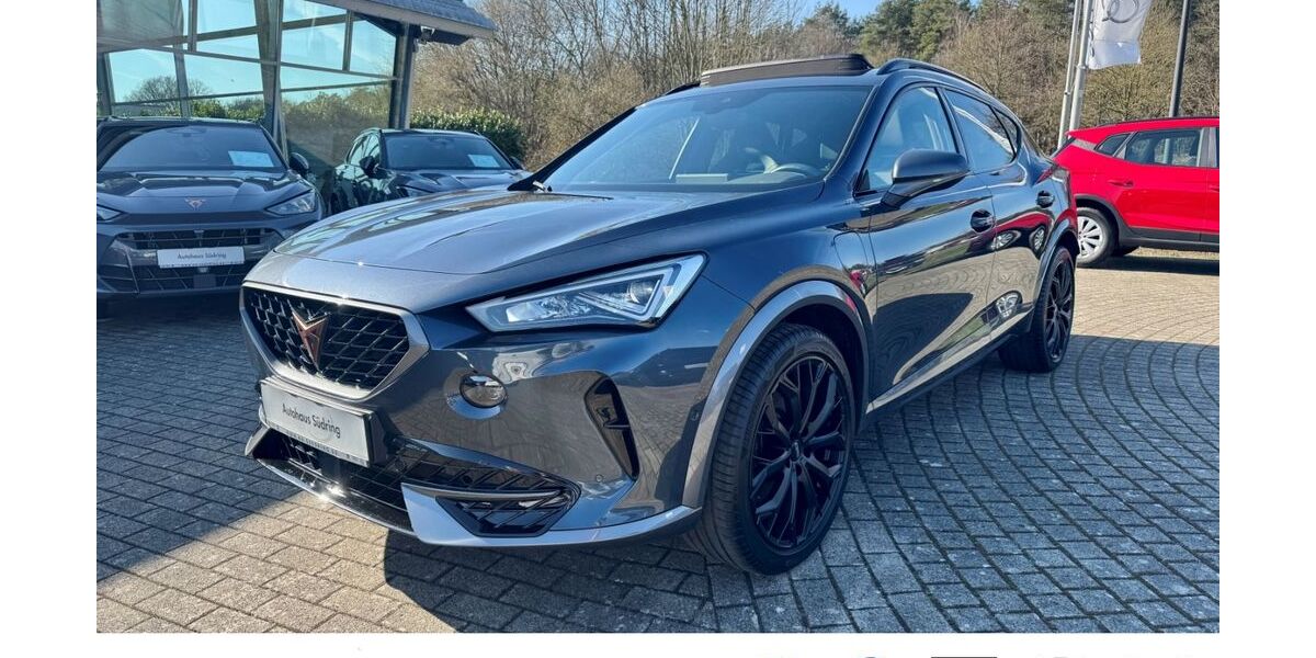 Cupra Formentor 60.235 km 24.650 &euro; Nienburg 31582