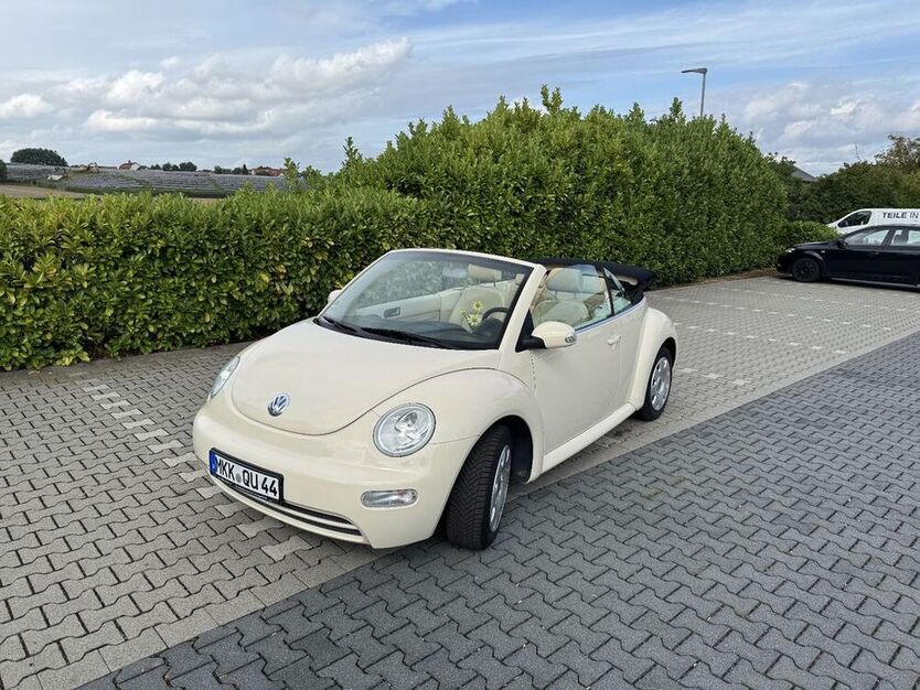 Beetle