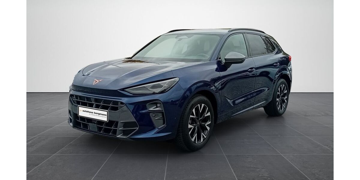 Cupra Terramar 9.300 km 35.901 &euro; Wernigerode 38855