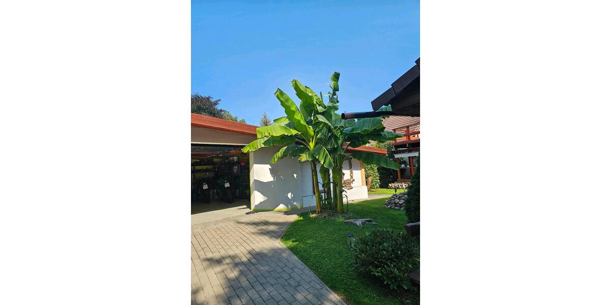 Einfamilienhaus Bad Schmiedeberg - 21 Zimmer, 600 m&sup2;, 670.000&euro; | Angebot:26312109