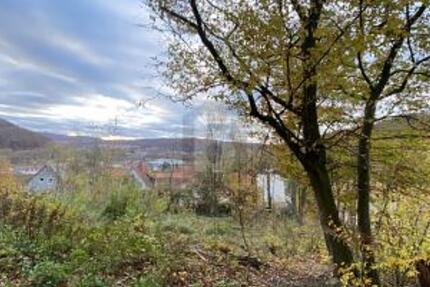 IHR RÜCKZUGSORT: 960 M² INMITTEN DER NATUR - Grundstück Hannoversch Münden | Angebot:27095291