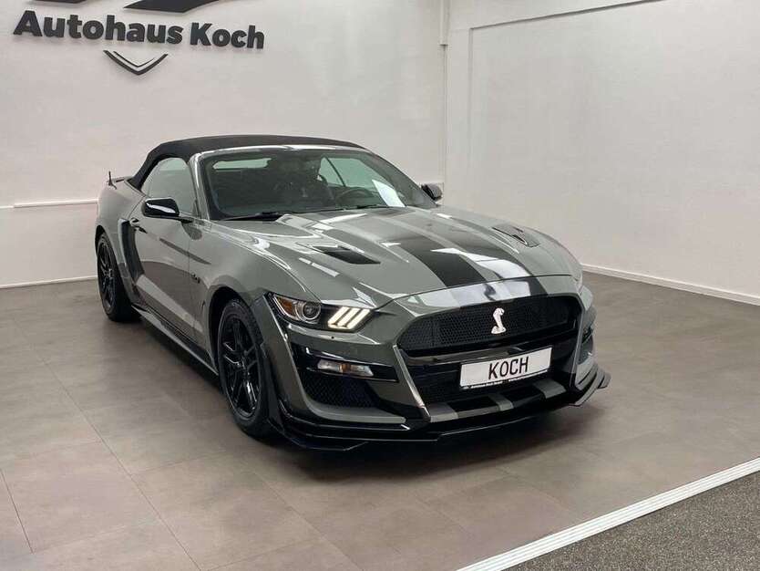 Mustang