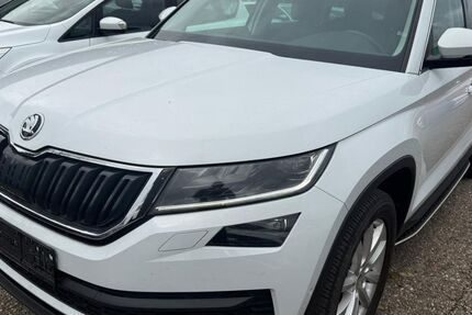 Skoda Kodiaq 210.000 km 18.445 € Heidelberg 69123