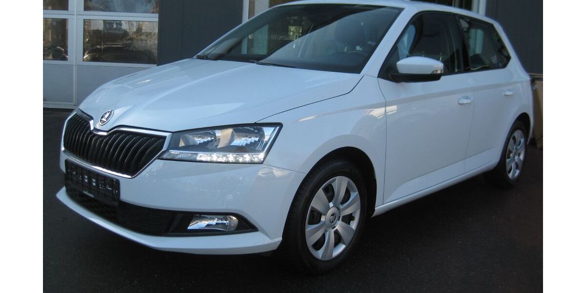 Skoda Fabia 29.500 km 16.900 &euro; Stockach 78333