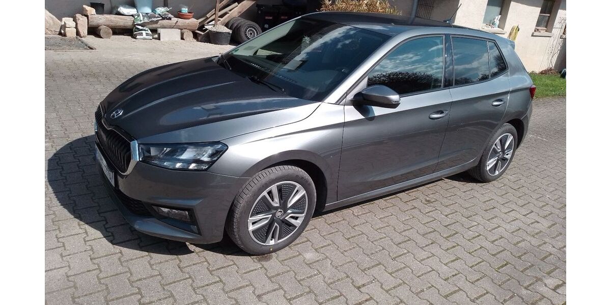 Skoda Fabia 65.000 km 13.400 &euro; Obersontheim 74423