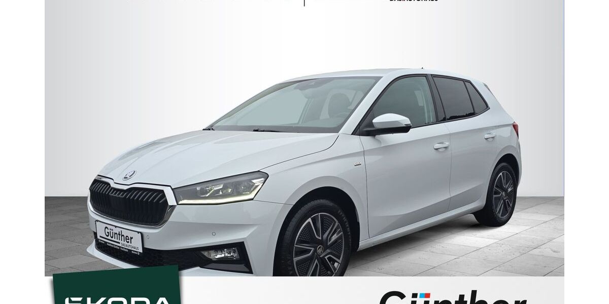 Skoda Fabia 48.000 km 16.950 &euro; Hardheim 74736