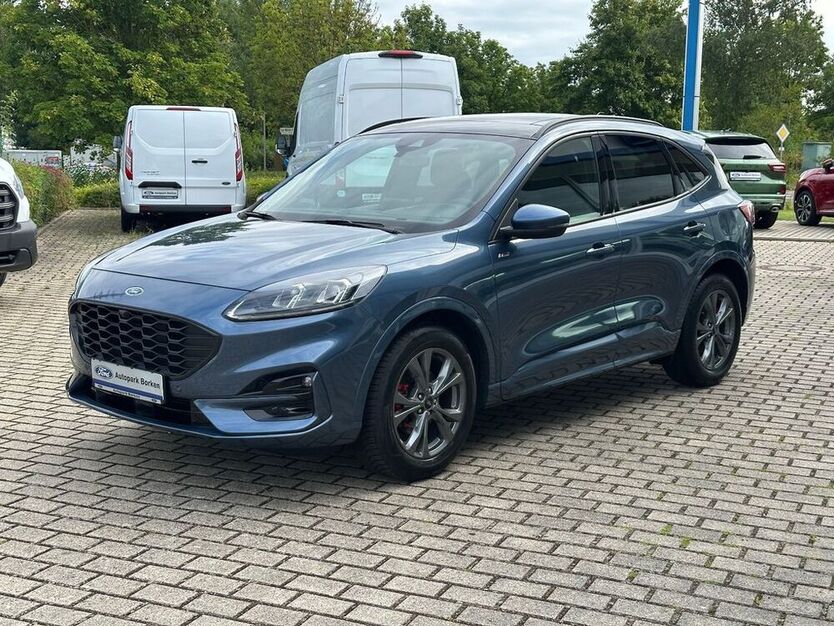 Kuga