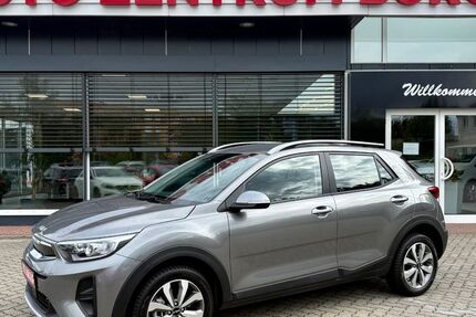 Kia Stonic 5.487 km 18.950 € Burg 39288