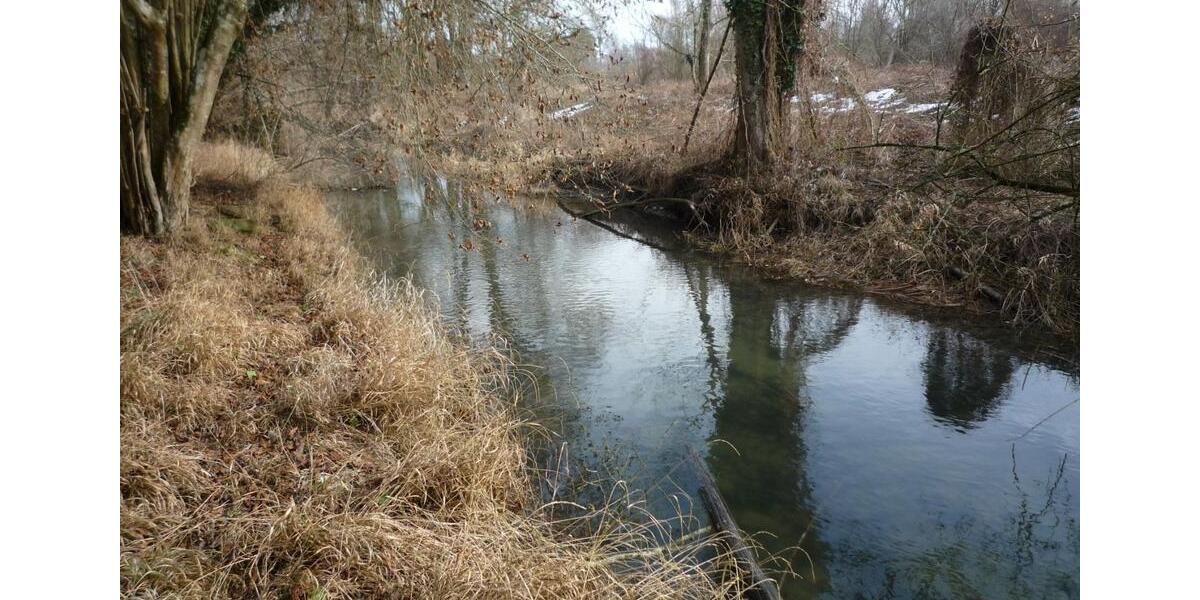 Bauernhaus, Landhaus Bad Füssing - 9 Zimmer, 180 m&sup2;, 850.000&euro; | Angebot:25727062