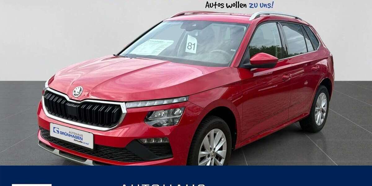 Skoda Kamiq 36.000 km 23.980 &euro; Hoya 27318