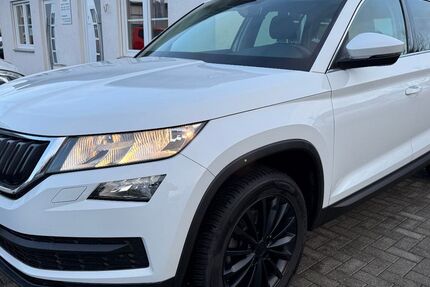 Skoda Kodiaq 189.645 km 13.999 &euro; Rheinbach 53359