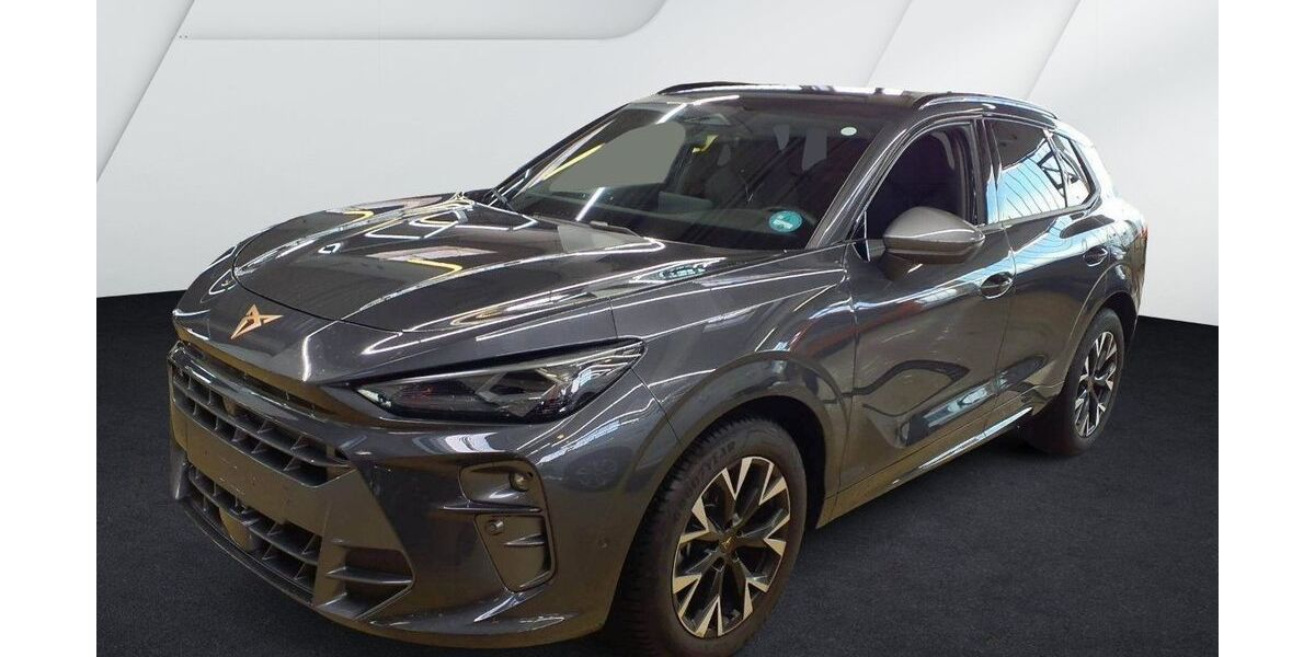 Cupra Terramar 17.800 km 33.980 &euro; Balingen 72336