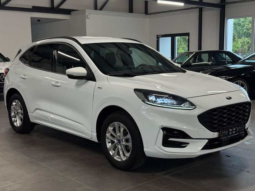 Kuga