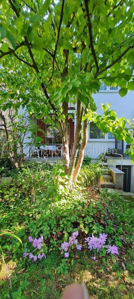 Charmantes Reihenmittelhaus mit Garten -ruhig wohnen am Waldrand-Potenzial für die ganze Familie 6 zimmer