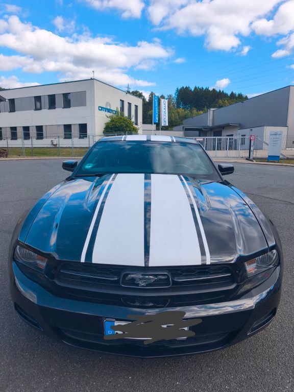 Mustang