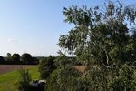 Attraktives Wohnhaus mit Einliegerwohnung für die große Familie - Einfamilienhaus Weiterstadt-Schneppenhausen Weiterstadt | Angebot:17480865