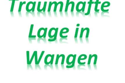 Haus Wangen im Allgäu Wangen - 7 Zimmer, 250 m&sup2;, 1.150.000&euro; | Angebot:25637168