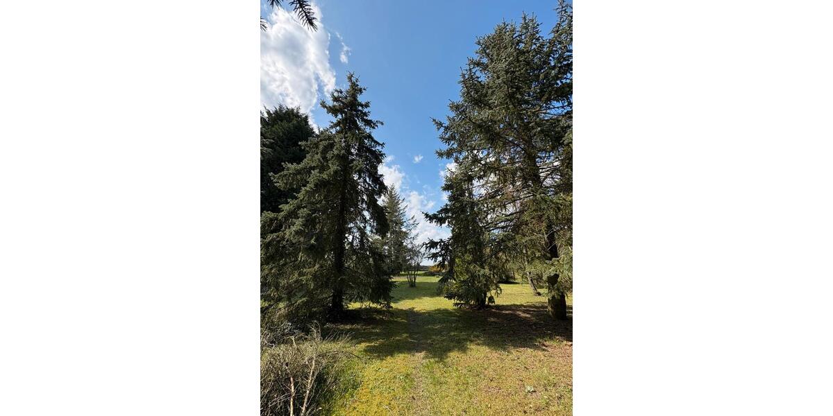 Einfamilienhaus Elbe-Parey Parey - 3 Zimmer, 130 m&sup2;, 140.000&euro; | Angebot:27071164
