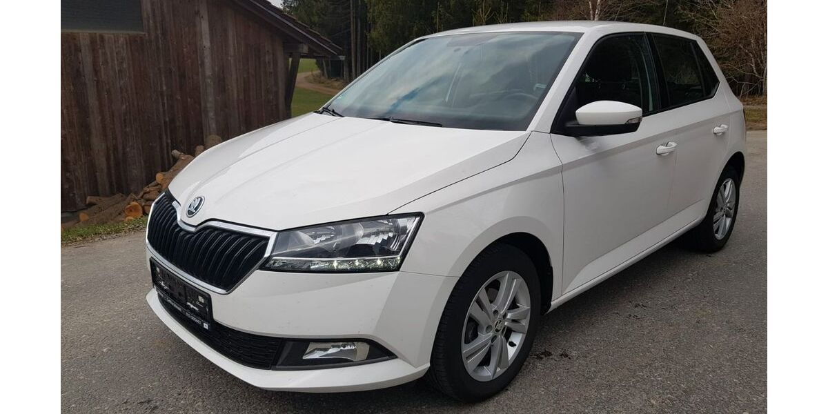 Skoda Fabia 54.245 km 10.900 &euro; Grafenau 94481