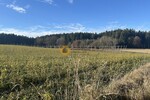 High-End Einfamilienhaus mit Einliegerwohnung in Bayern: zum Flughafen MUC 39km - Einfamilienhaus M-Scheyern Scheyern | Angebot:25933558