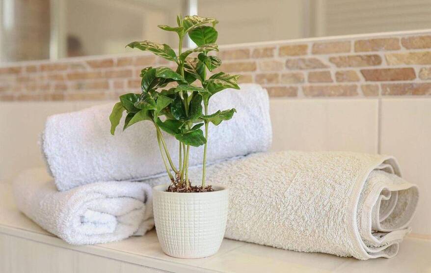 Wohnen im Grünen mit Wassernähe - Traumhaus mit Potenzial zur Zweiteilung