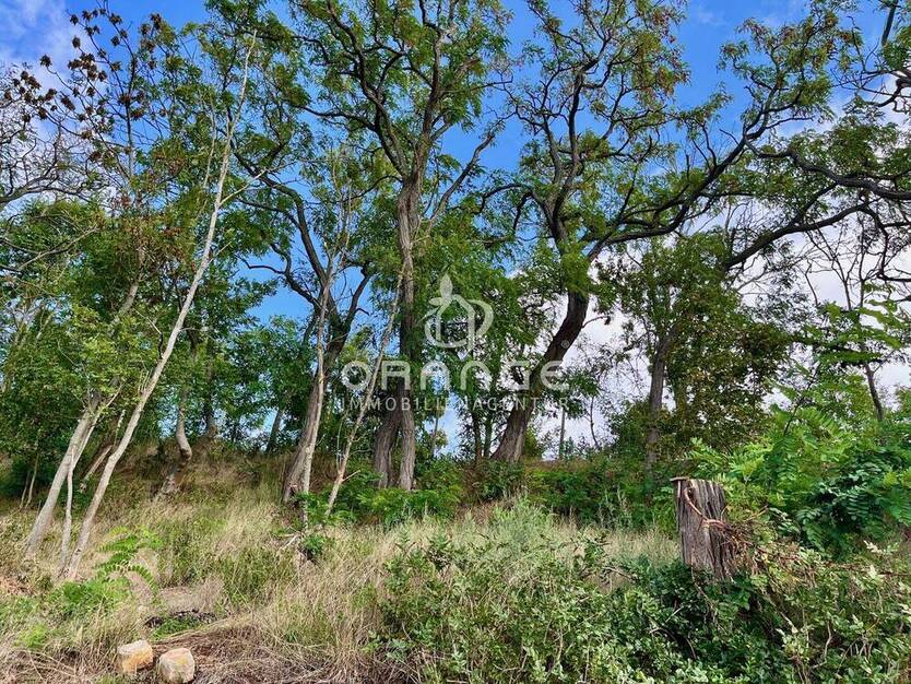 *** Rarität: Baugrundstück mit Seeblick in Seeburg *** zimmer