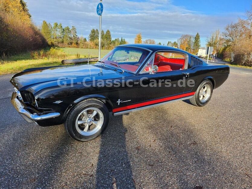Mustang