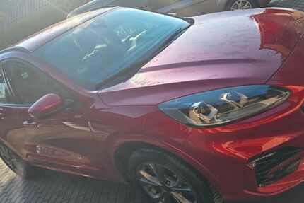 Ford Kuga 24.500 km 30.500 &euro; Nauen 14641
