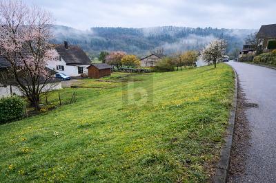 AUSSICHT AUF DIE WEITENBURG - Grundstück Starzach | Angebot:26301995