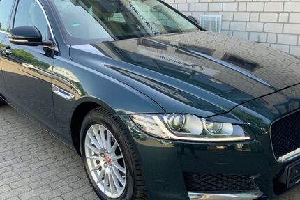 Jaguar XF 162.159 km 8.999 &euro; Rellingen 25462