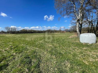 GROßE FLÄCHE MIT VIELSEITIGER NUTZUNG - Grundstück Oststeinbek | Angebot:26698037