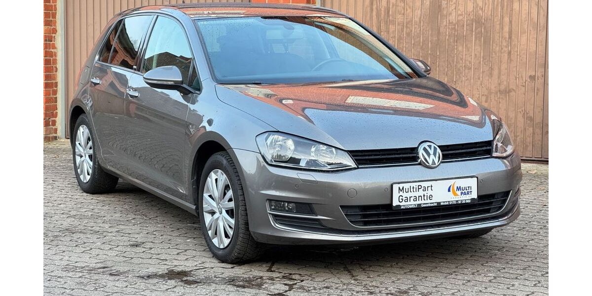 VW Golf 175.000 km 9.199 &euro; Geesthacht (bei Hamburg) 21502