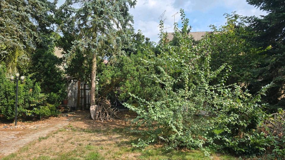 Reihenhaus Gräfenhainichen - 8 Zimmer, 180 m&sup2;, 52.500&euro; | Angebot:27417737