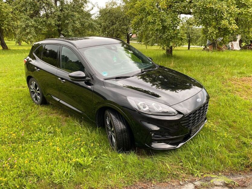 Kuga