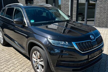 Skoda Kodiaq 216.900 km 16.124 &euro; Neuenhaus 49828