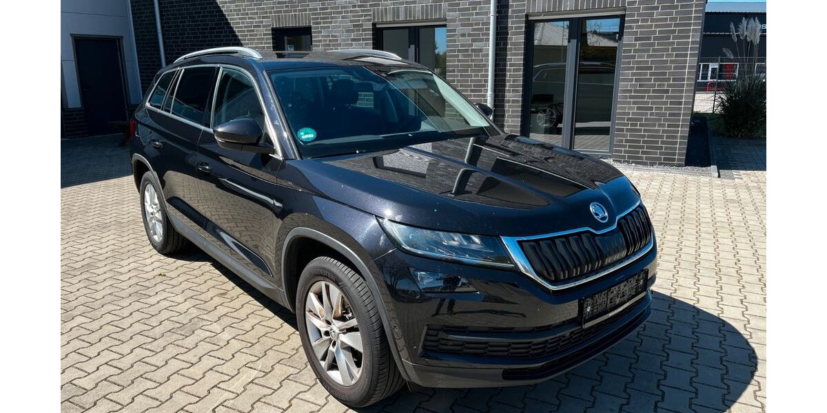 Skoda Kodiaq 216.900 km 16.124 &euro; Neuenhaus 49828