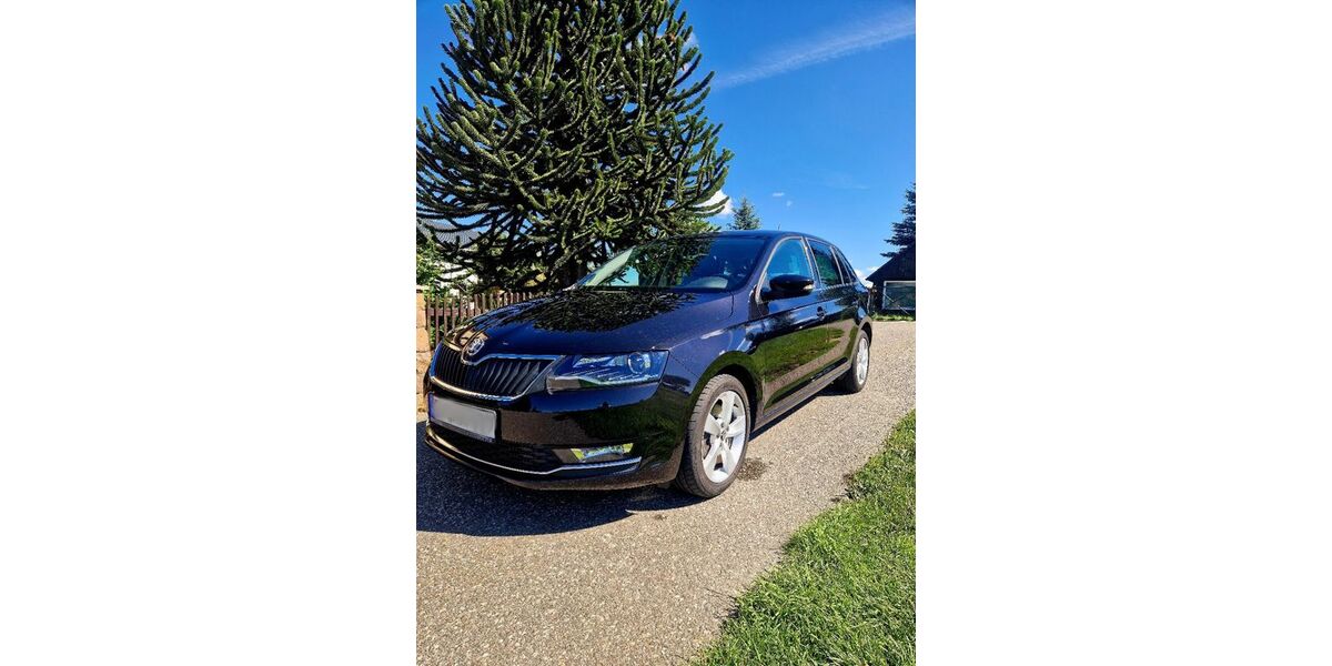 Skoda Rapid 30.000 km 12.490 &euro; Oederan 09569