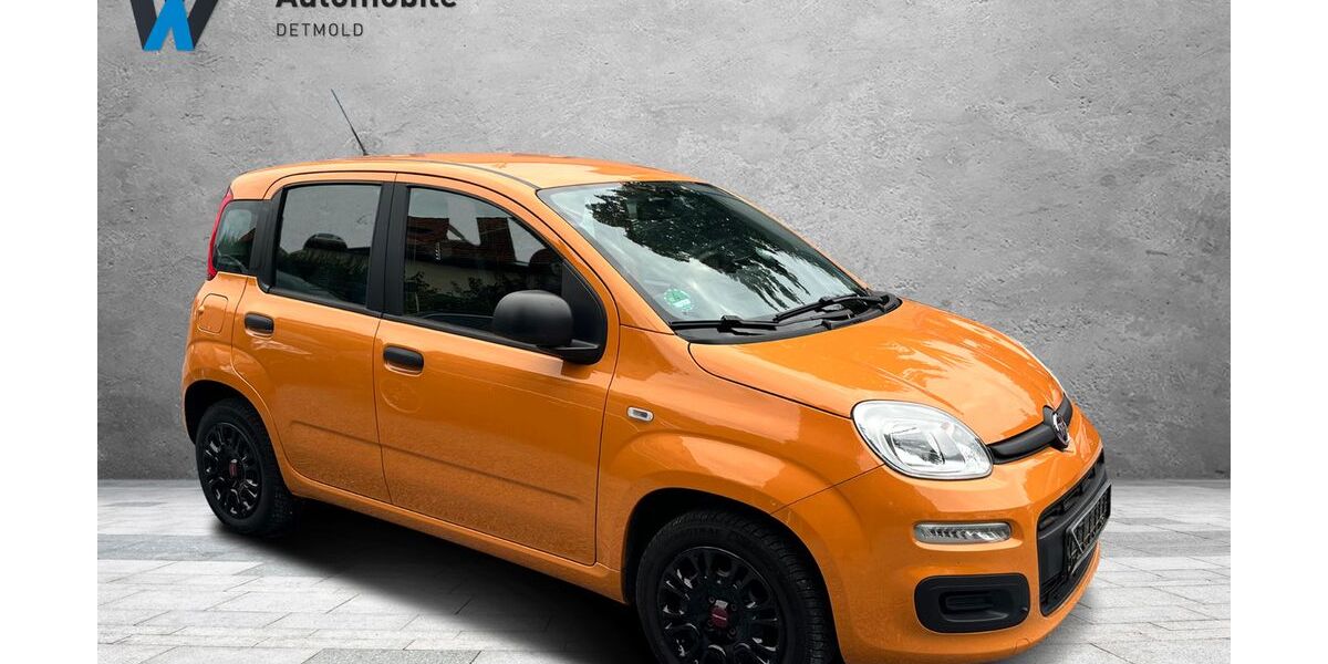 Fiat Panda 62.000 km 6.999 &euro; Detmold 32758
