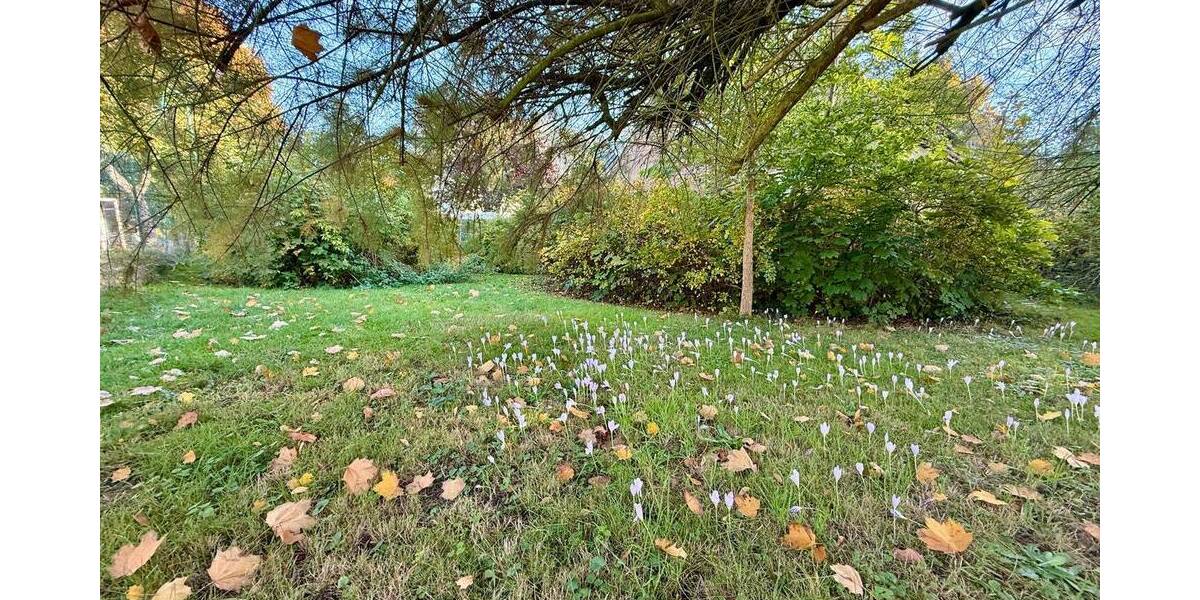 Einfamilienhaus Panketal Zepernick - 4 Zimmer, 63 m&sup2;, 495.000&euro; | Angebot:26345308