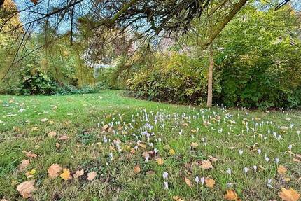 Haus Panketal Zepernick - 4 Zimmer, 63 m&sup2;, 495.000&euro; | Angebot:26345308