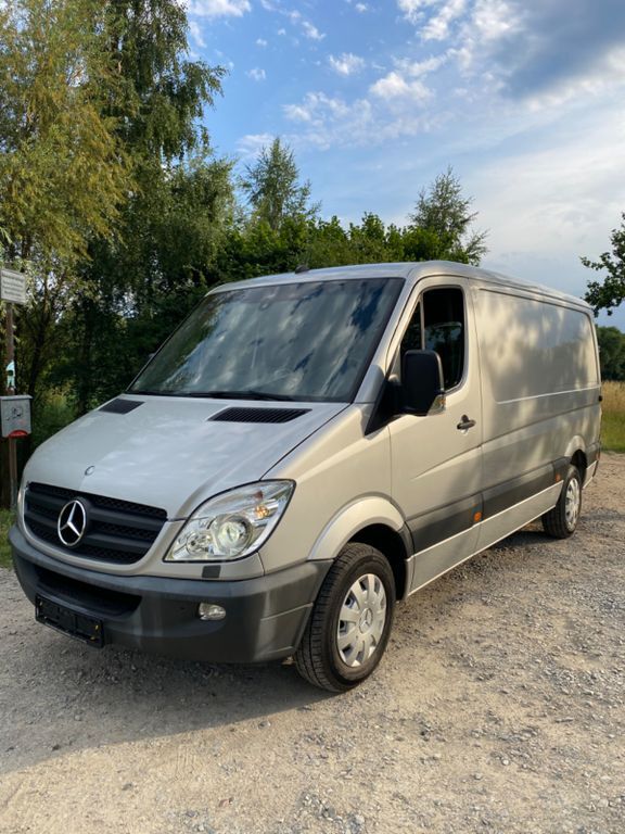 Sprinter