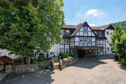 Gewerbeobjekt Schieder-Schwalenberg / Glashütte Glashütte - 450.000&euro; | Angebot:27234503