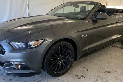 Ford Mustang 118.846 km 30.940 &euro; Steinbach-Hallenberg OT Herges-Hallenberg 98587
