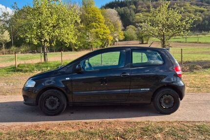 VW Fox