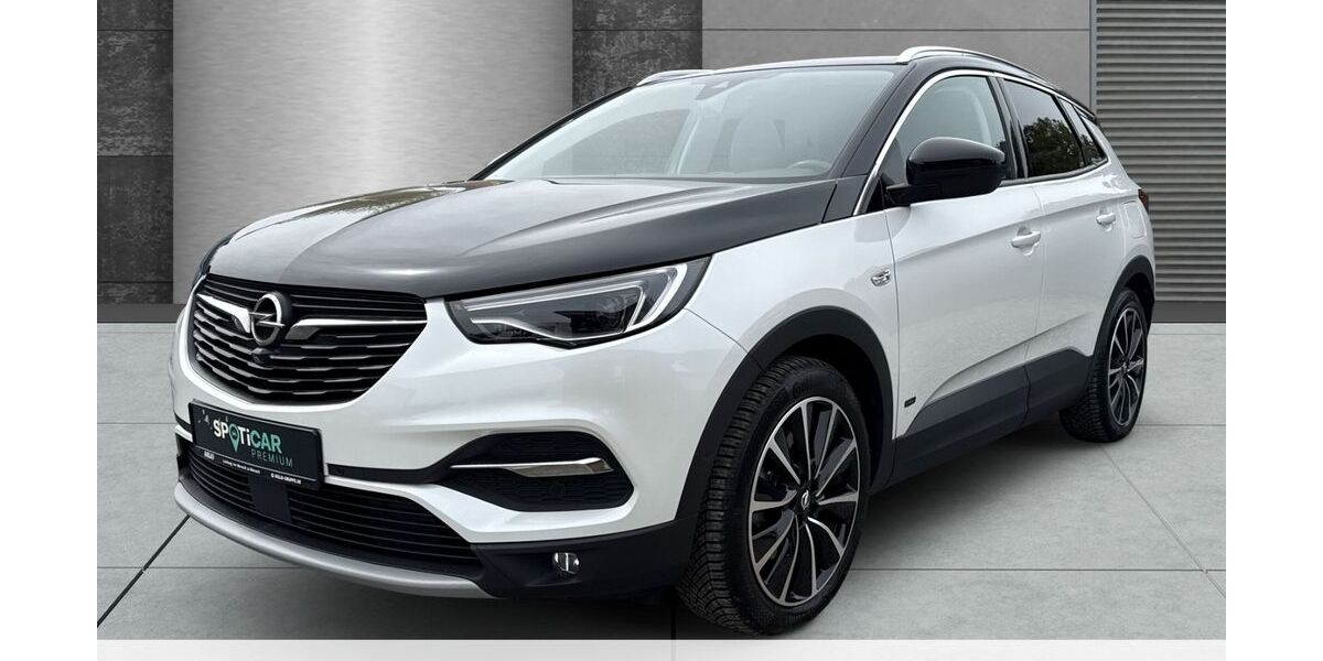 Opel Grandland (X) 44.411 km 23.980 &euro; Oldenburg in Holstein 23758