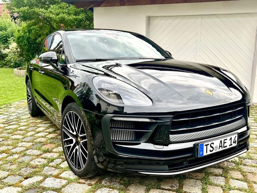 Macan