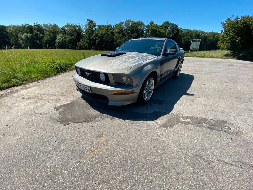 Mustang